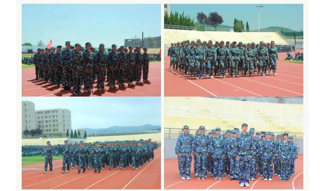 44E3D