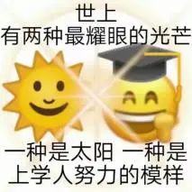 317E